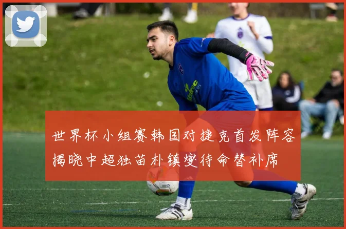 世界杯小组赛韩国对捷克首发阵容揭晓中超独苗朴镇燮待命替补席