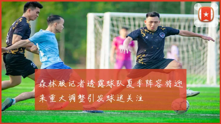 森林狼记者透露球队夏季阵容将迎来重大调整引发球迷关注