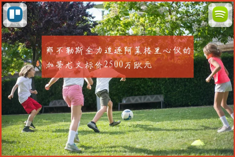 那不勒斯全力追逐阿莱格里心仪的加蒂尤文标价2500万欧元